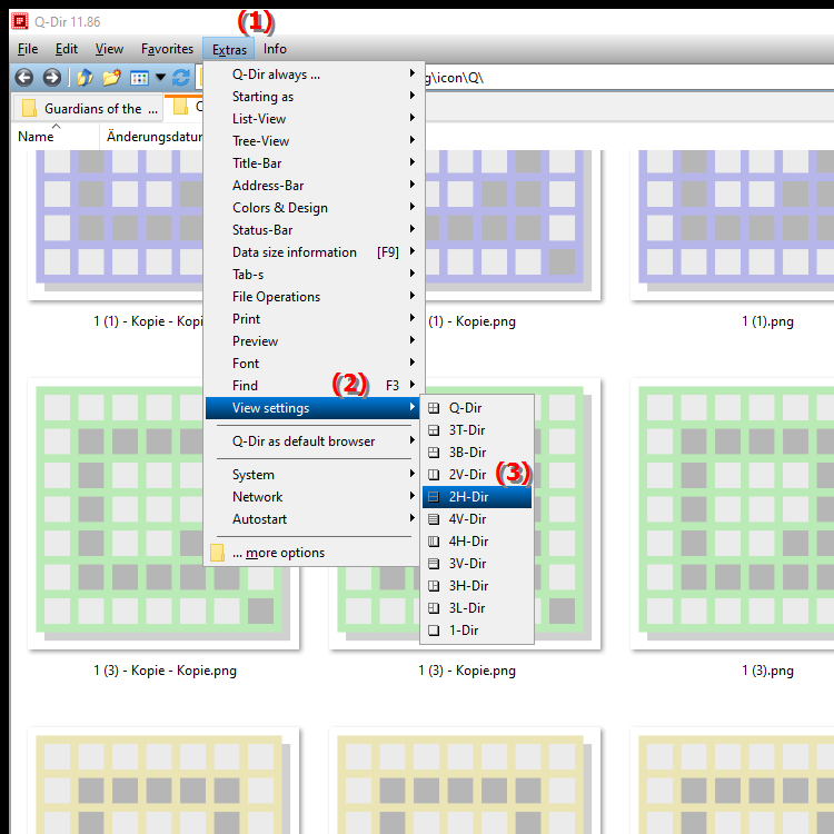 What does the 2H Dir view offer in the quad file explorer Q Dir